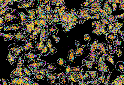 RNA